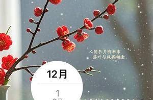 冬月|节令之美丨12月1日起我国将进入“冬月”